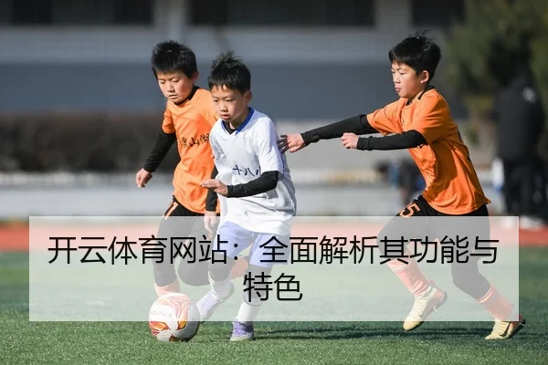 开云体育网站：全面解析其功能与特色