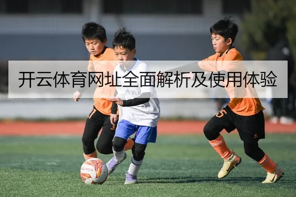 开云体育网址全面解析及使用体验